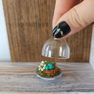 May include: A miniature bird's nest with turquoise eggs and white flowers is displayed under a clear glass dome.