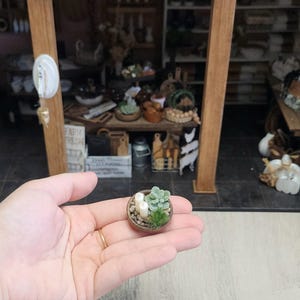 Dollhouse Miniature Succulent Candle Arrangement - Mini Plant, Flowers Bouquet, Miniatures 1:12, Decoration, Decor, Fairy Garden