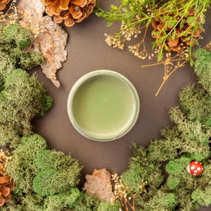 May include: A green glass jar with a lid, surrounded by moss, pine cones, and small red mushrooms. The jar is on a brown background.