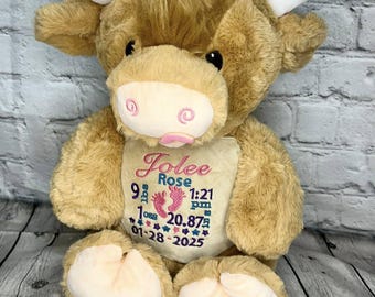 Personalized Birth Stat Stuffed Animal, Embroidered Stuffie, Birth Announcement Keepsake, Birth stats