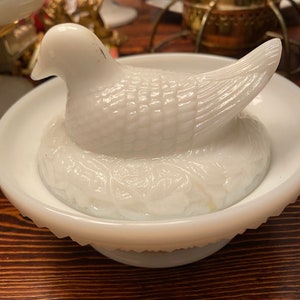 Love bird on nest with dish