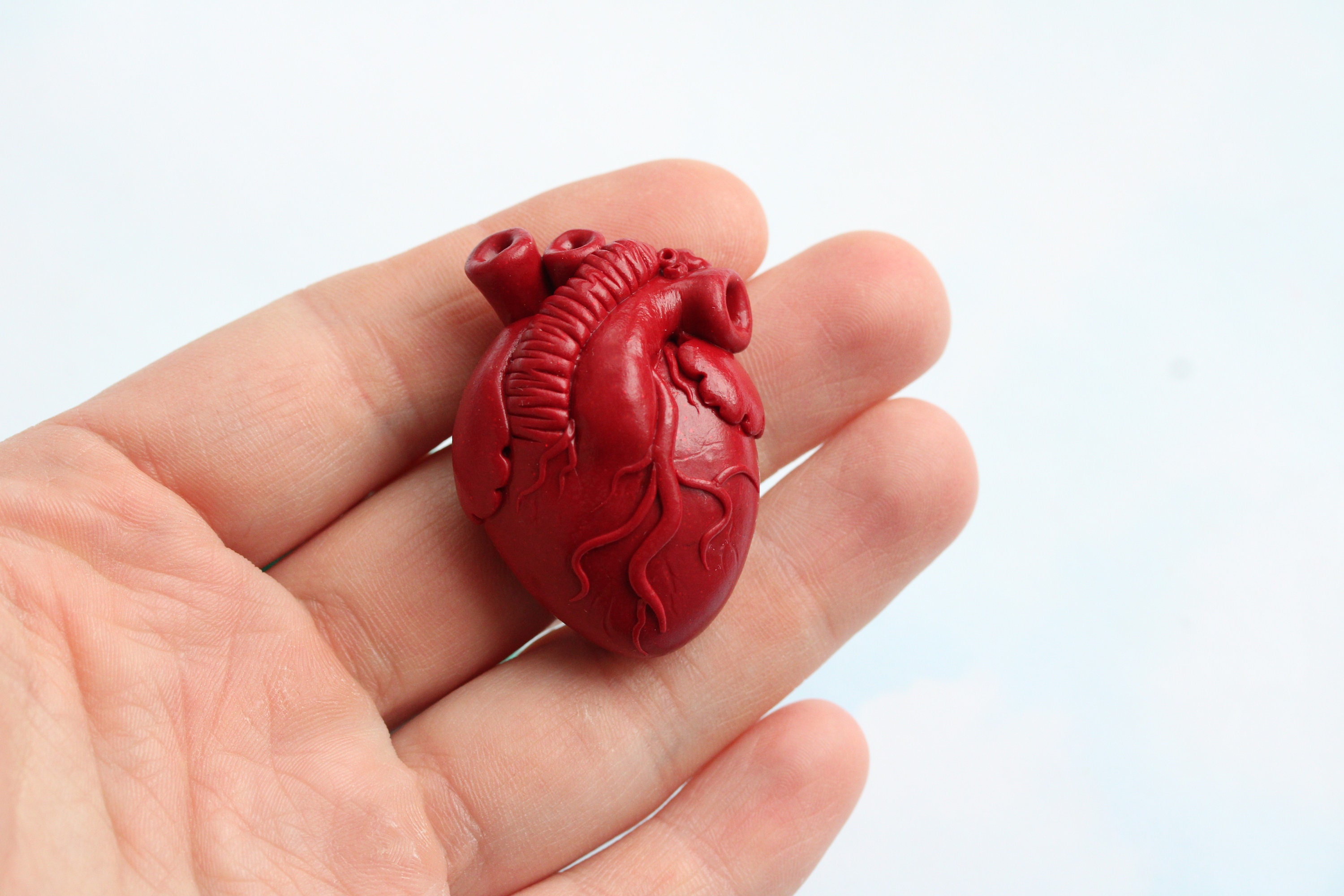 Anatomical heart heart mold 3d molds heart silicone mold Etsy