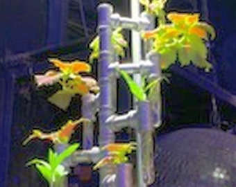Plant Propagation Station, Plants, Plant Rooting, Bud Vase, Hydroponic, Rooting, Cutting Starter, Industrial Plant Propagation Station