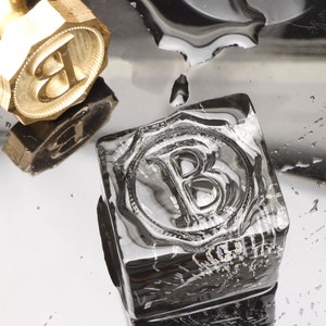Timbre de cube de glace personnalisé en laiton Logo d’entreprise Timbre de glaçon personnalisé Glaçons de marque Timbre de barre personnalisé