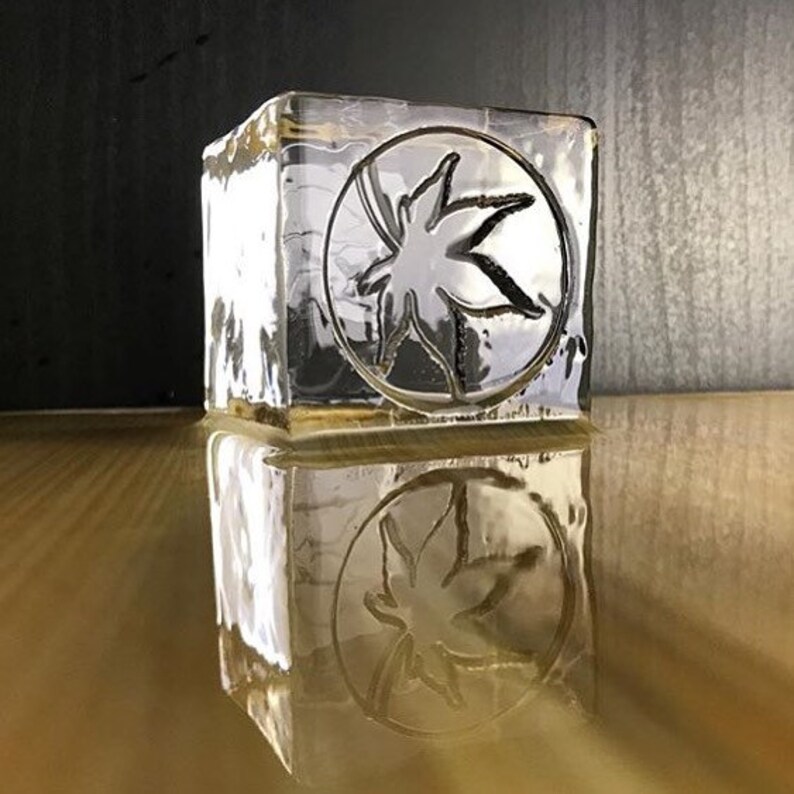 Custom Logo Ice Cube Stamp for Ice Cubes / Business Logo Ice Etsy