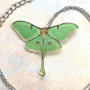 Whimsical acrylic Luna moth necklace