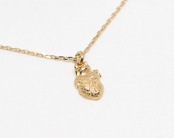Anatomical Heart Necklace – 18k Gold Plated Medical Pendant – Human Heart Charm – Doctor & Nurse Jewelry