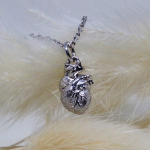 Anatomical Heart Necklace - Sterling Silver Anatomical Heart Charm - Anatomical Heart Pendant
