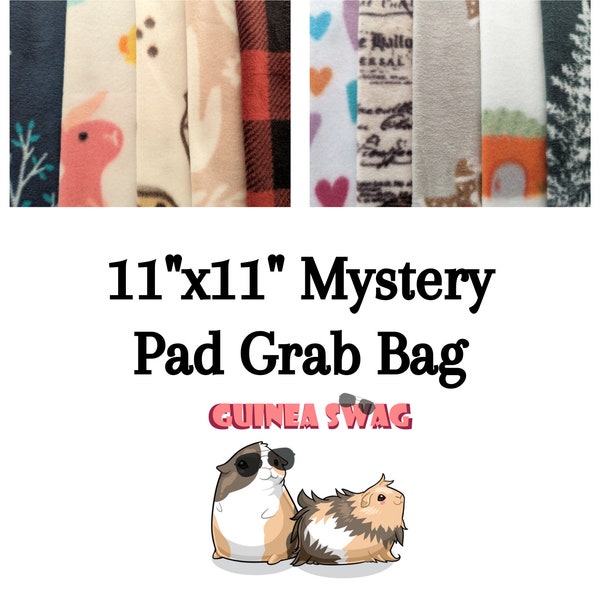 Mystery Grab Bag 2 Layers of Absorbent Material & 2 Layers of Fleece Lap Pads Guinea Pig Accessories Guinea Pig Fleece Potty Pads