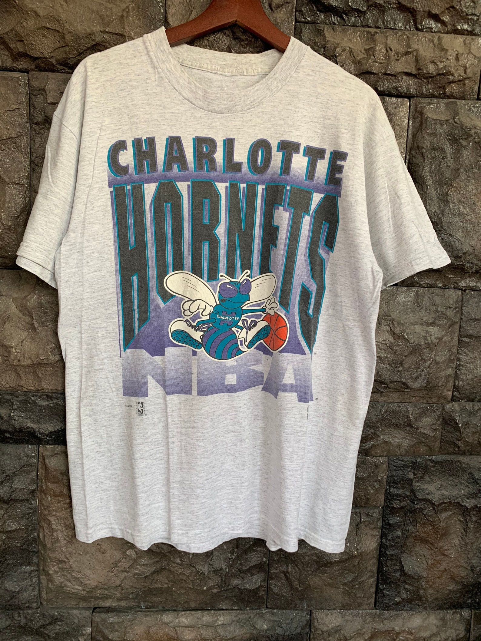 Vintage CHARLOTTE HORNETS Basketball nba Tshirt | Etsy