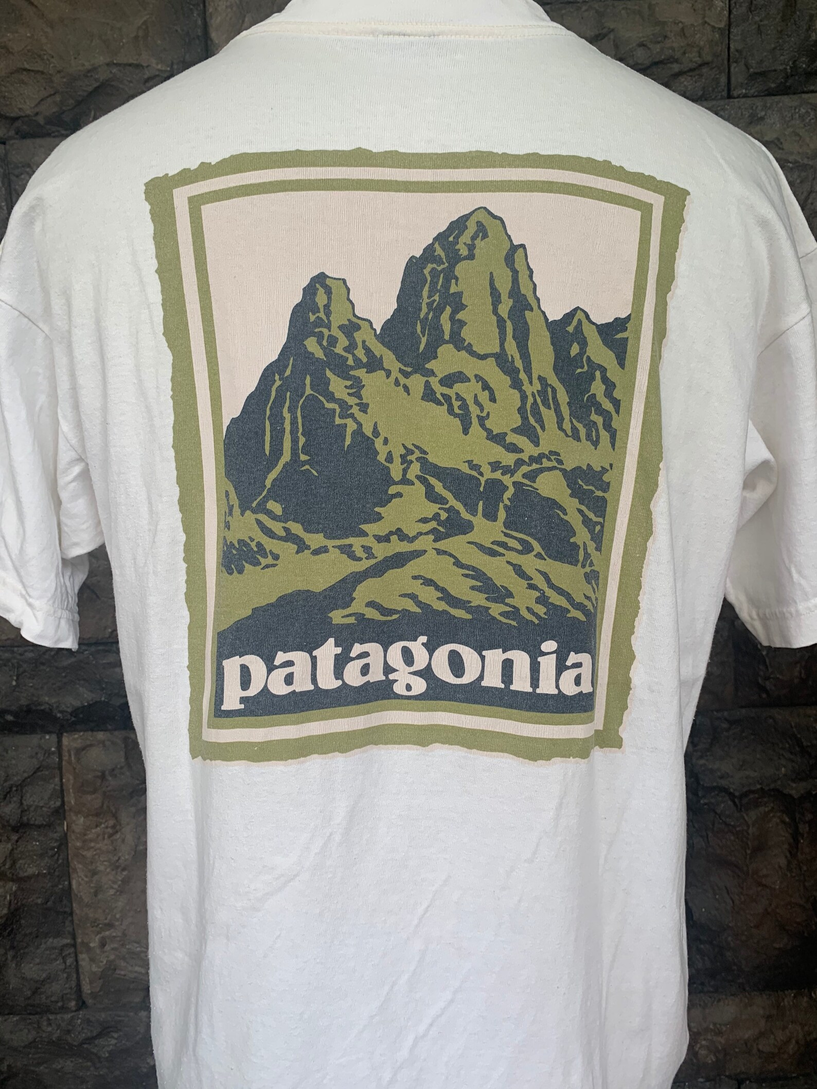 patagonia senior shirt
