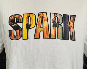 1990 Air Bourne Skate Boards ヴィンテージTシャツ 1990 Air Bourne Skate Boards ヴィンテージTシャツ 1990 Air