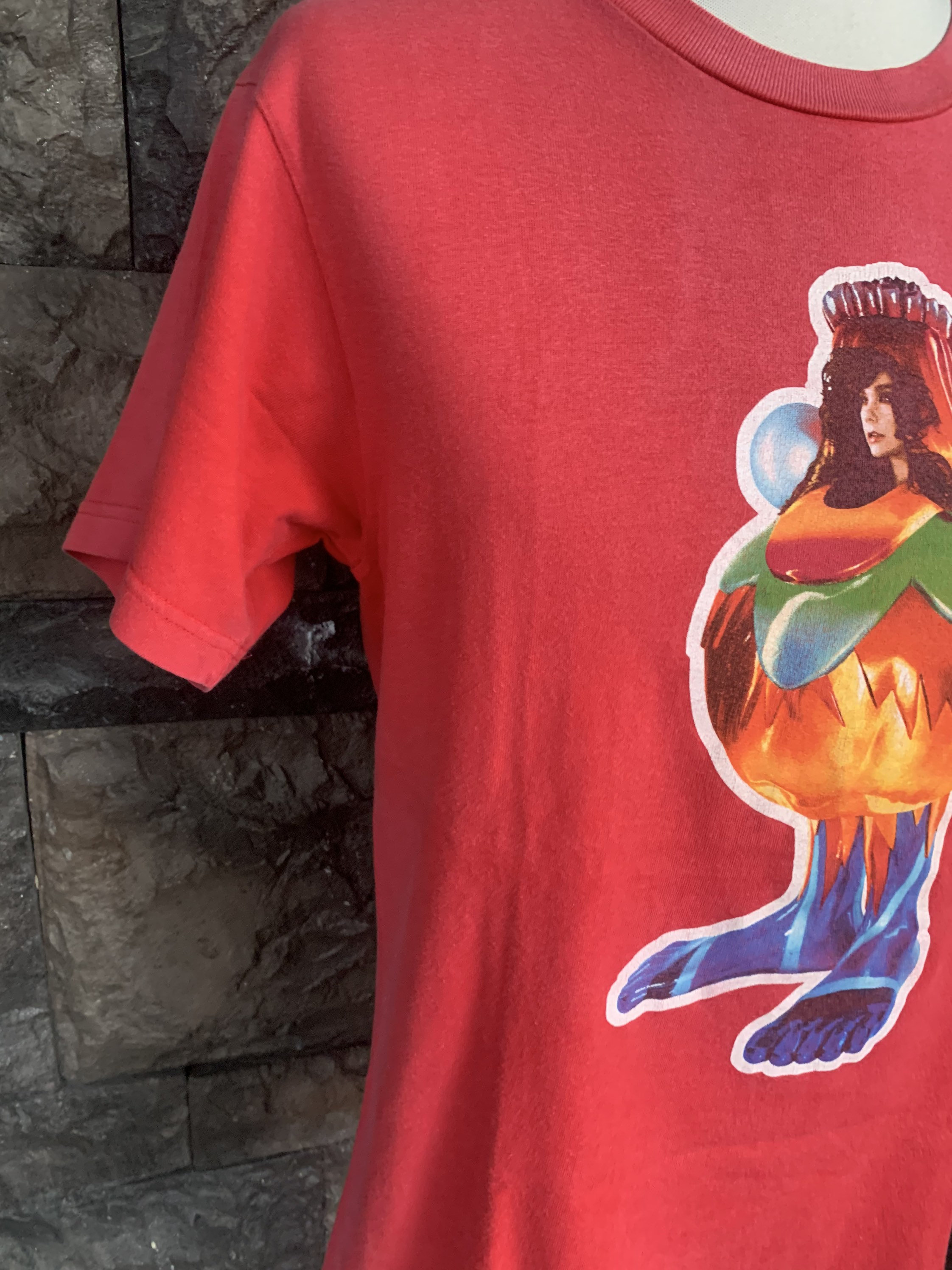 BJORK Tシャツ 00s ヴィンテージ VOLTA ツアーT フォトプリント