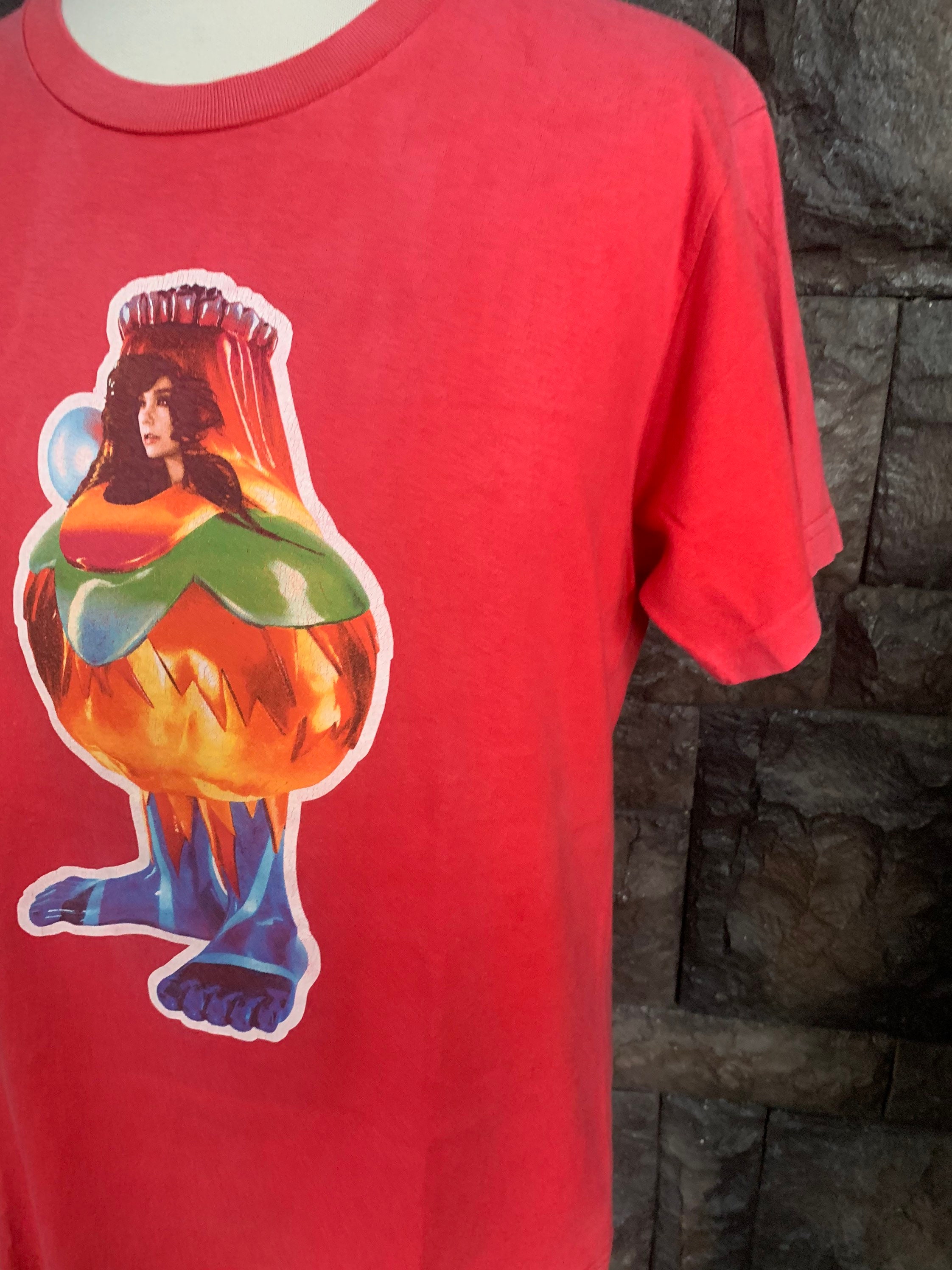 00s BJORK Tシャツ ヴィンテージ VOLTA ツアーT フォトプリント 