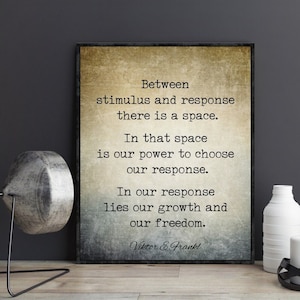 Viktor Frankl Entre Stimulus Et Réponse Il y a un espace Citation Poster Cadeau pour Thérapeute Travailleur Social Conseiller Thérapie Bureau Décor