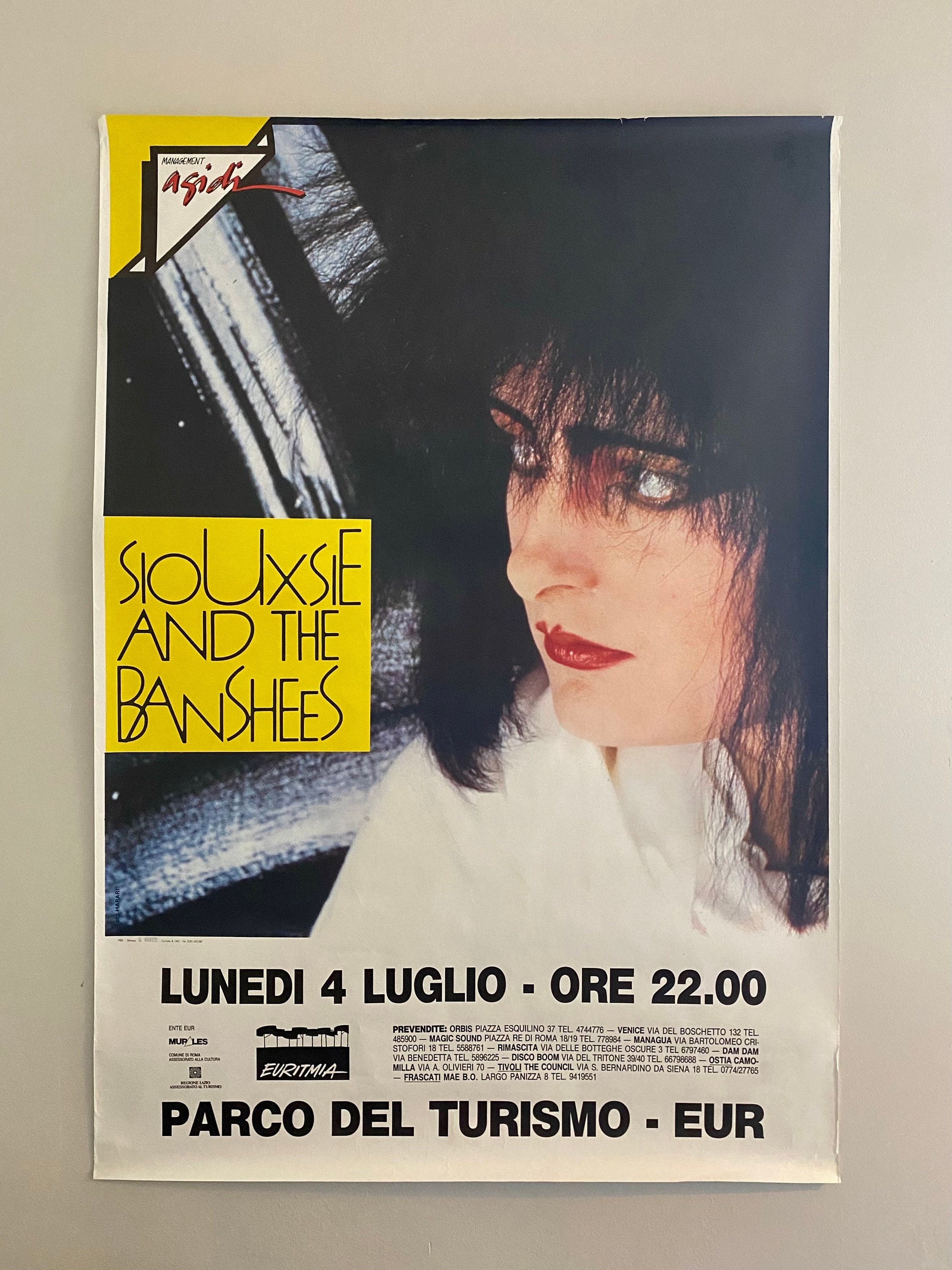 Siouxsie & the Banshees Original Vintage Gig Poster Rome