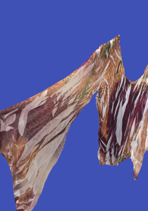 Transparent Psychedelic Animal and Cashmere Print