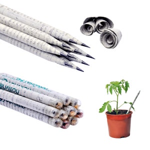 Recycled Newspaper Plantable HB Pencils with Seeds | Christmas Gift | Wood-Free | Party Bag Filler | Party Favour | Birthday Gift | Vegan