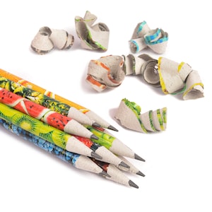 Matite HB con frutta in carta riciclata / Regalo ecologico / Regalo per bambini / Fatto a mano / Senza plastica / Senza alberi / Ritorno a scuola / Regalo per insegnanti