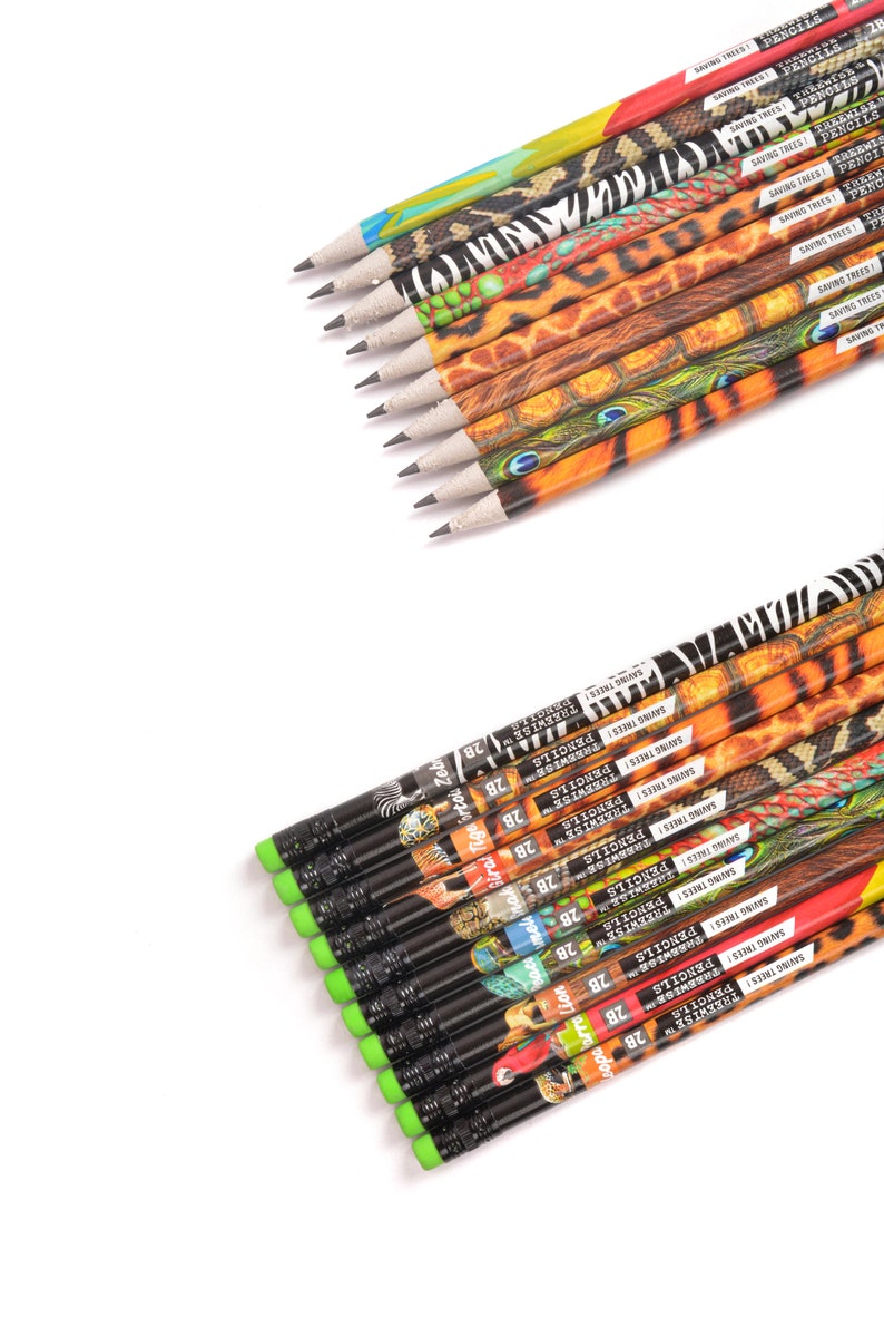 Eco Friendly Recycled Wildlife HB Pencils. Party bag filler, favour, Gift for Kids, Birthday, Handmade, Plastic & Tree Free, Teacher Gift image 6