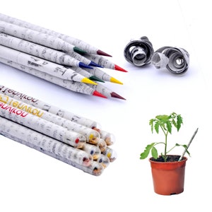Matite colorate piantabili per giornali riciclati con semi / Senza legno / Regalo di Natale / Riempitivo per sacchetti per feste / Bomboniera / Regalo di compleanno