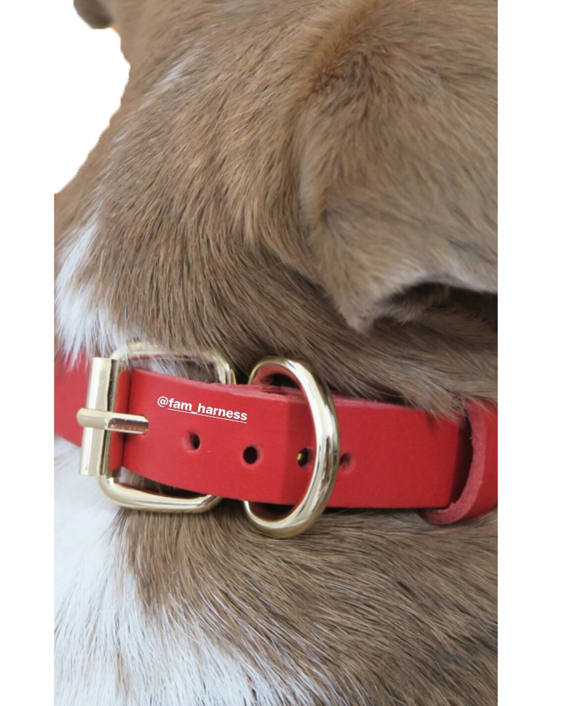 Dog collar exclusive orange leather handmade style Etsy