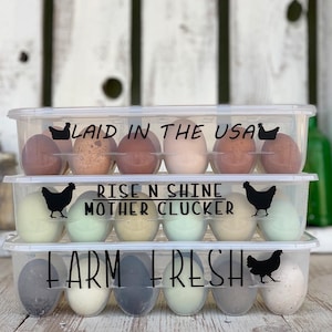 Funny Egg Carton / Plastic Egg Carton / Chicken Coop / Housewarming Gift / Birthday Gift / Egg Holders / Reusable Egg Containers