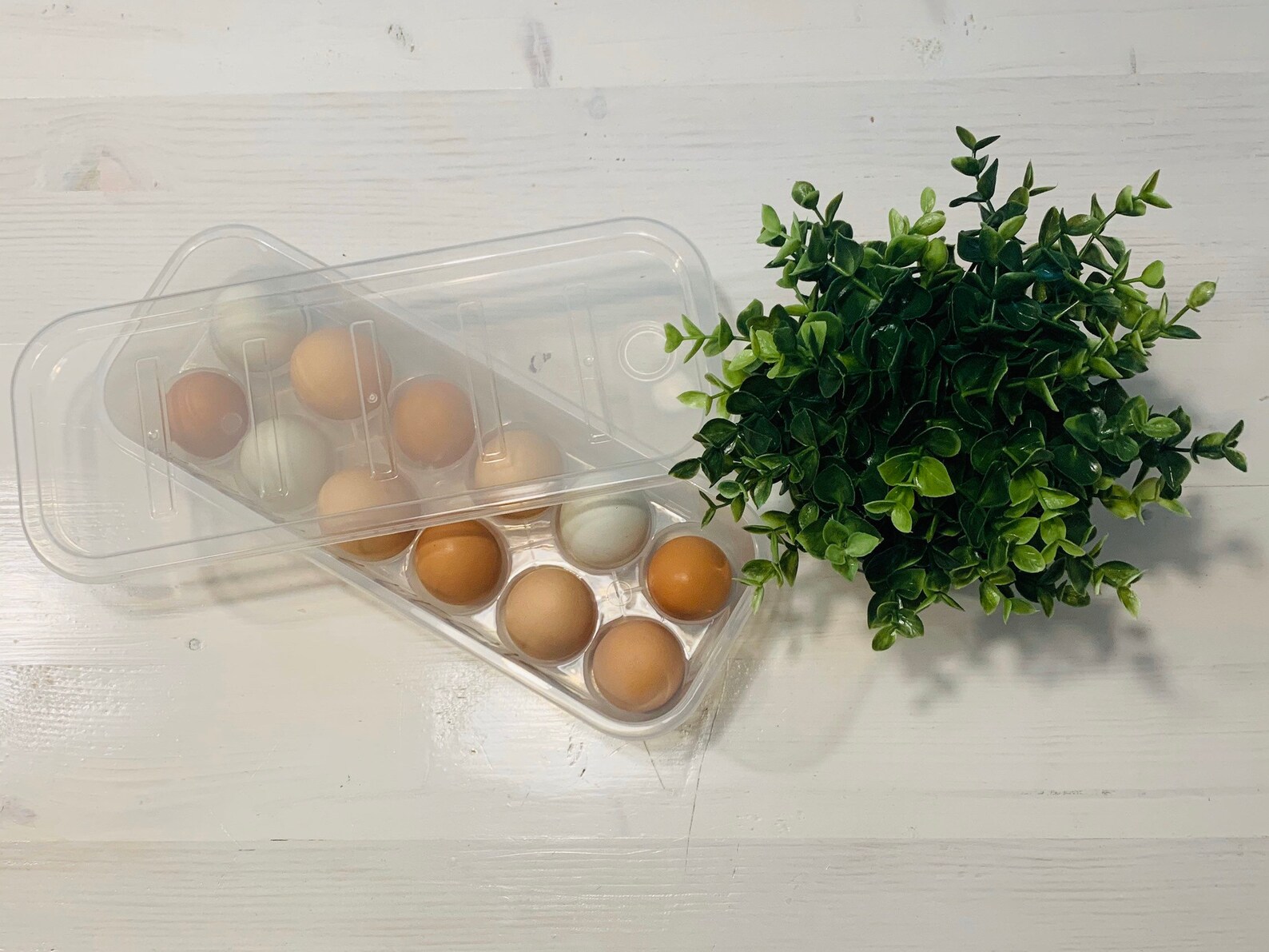 Reusable Egg Carton / Funny Egg Carton / Dozen Egg Holder With Etsy