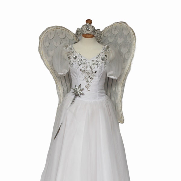Fairy Costume Adult, Tooth Fairy, Princess Dress, Fairy Wings
