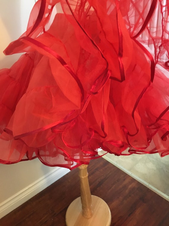 Square dance skirt, crinoline skirt, Lolita skirt… - image 5