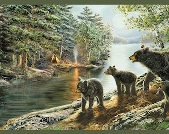 Salvador Green Bear Necessities Wallpaper Border TTL01531b / 3118-01531b