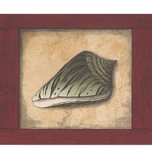 May include: A decorative border with three seashells in individual frames. The shells are a leopard print, a green and white striped shell, and a black and white striped shell. The frames are a dark red color.