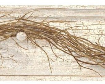 Grapevine Twig Wallpaper Border AC4348bd