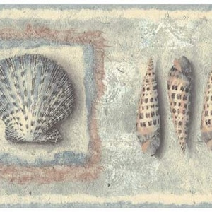 May include: A seashell border wallpaper with a large seashell in a square frame and three smaller seashells in a row.