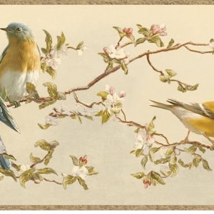 May include: Three birds perched on a branch with white blossoms. Two bluebirds with orange breasts and a yellow bird with white wings.