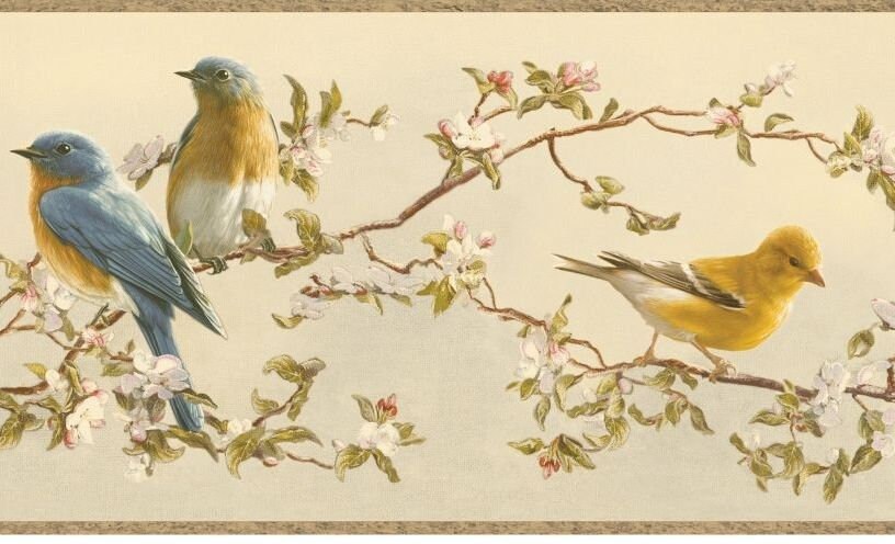 Rooster Wallpaper Border - 6 3/4" X 15ft Prepasted Decorative Border