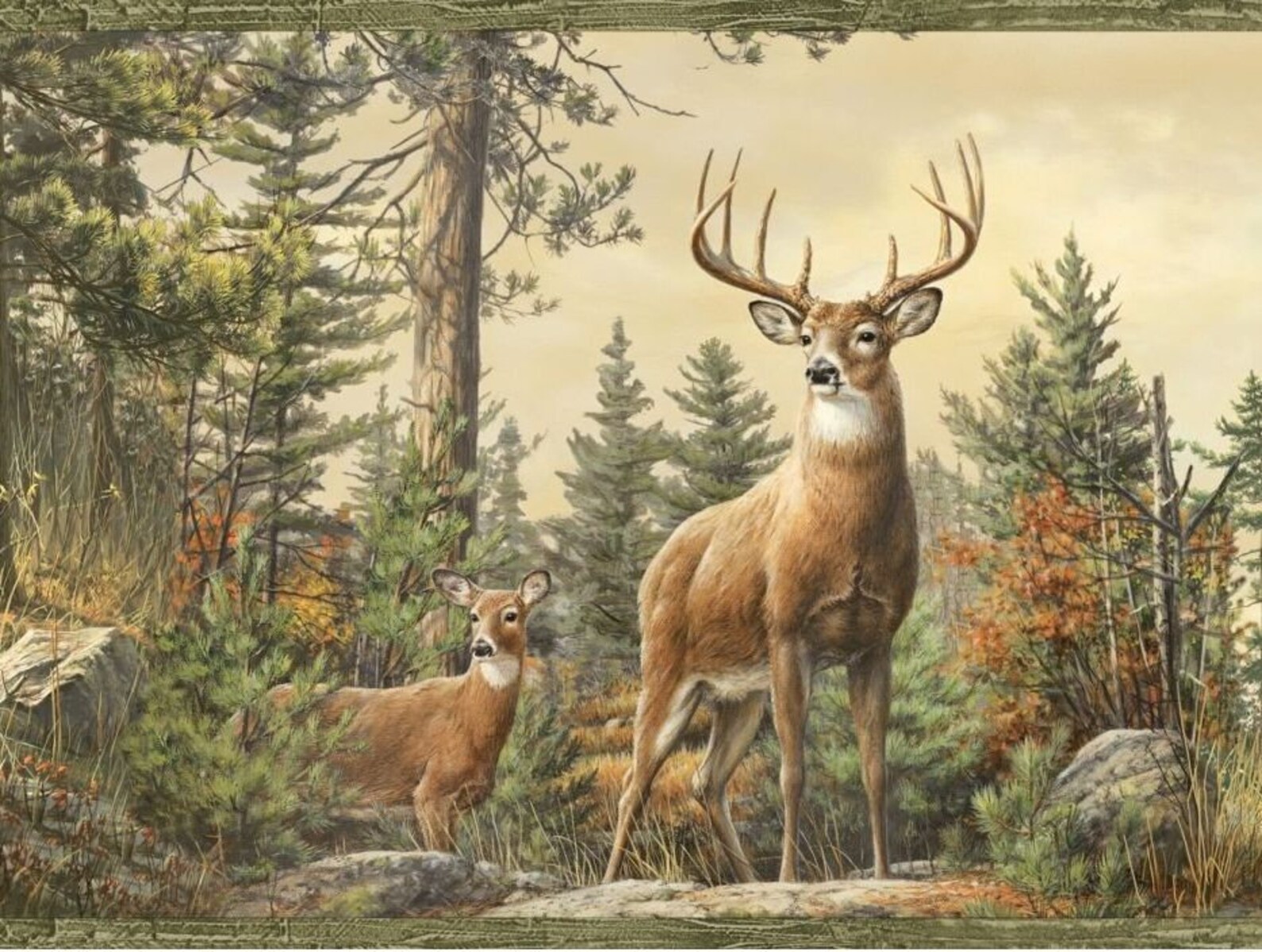 Whitetail Crest Deer Wallpaper Border Etsy