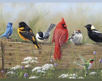 Bird Wall Border Etsy