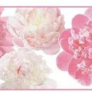 Pink and Cream Secret Garden Wallpaper Border BP8110bd