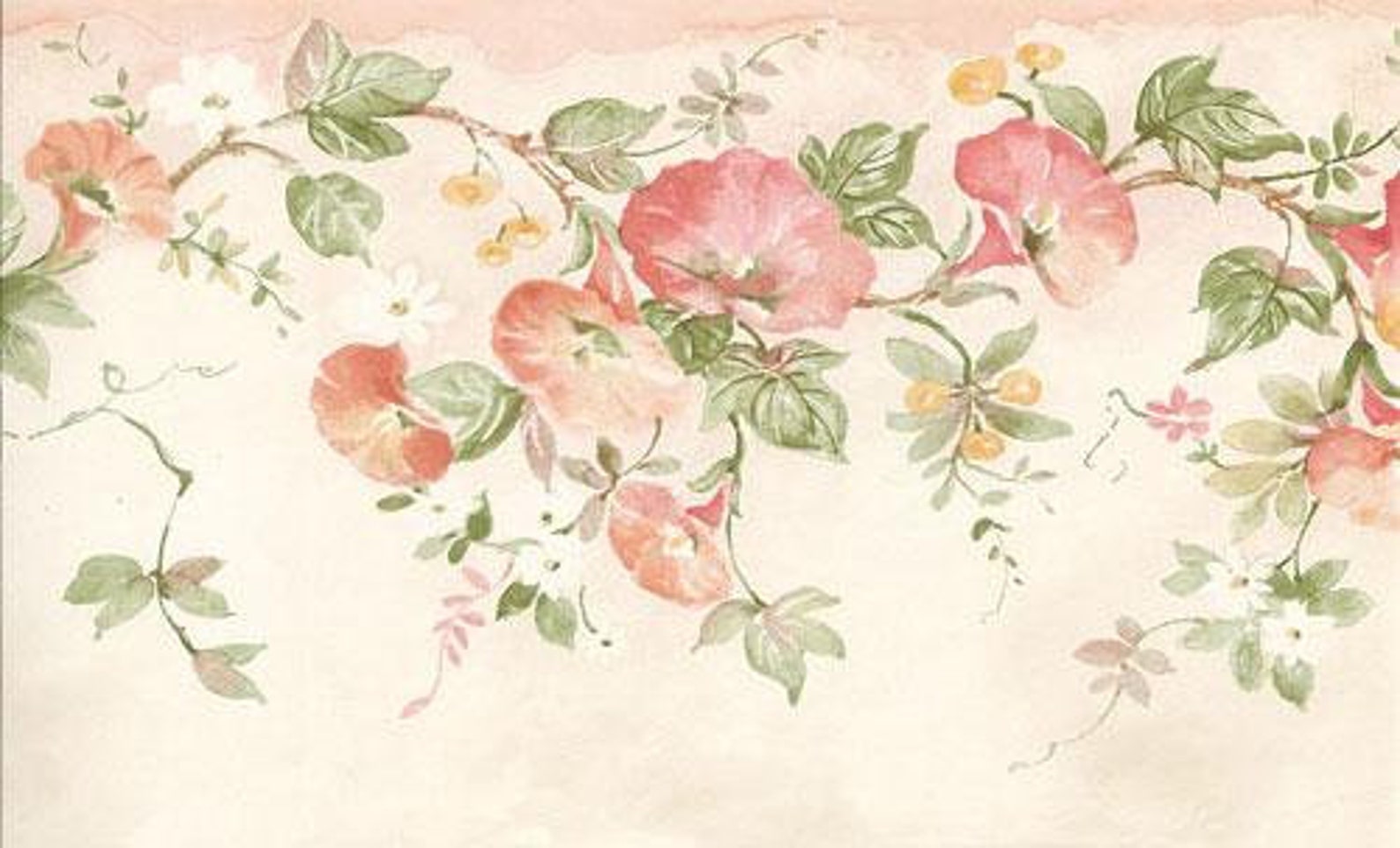 Morning Glory Vine Wallpaper Border Etsy