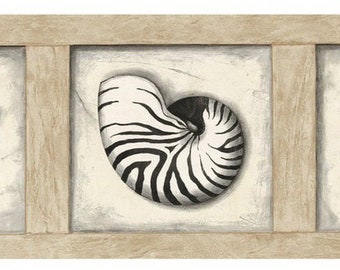 Framed Seashells Wallpaper Border 51646220