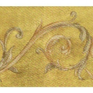 Acanthus Scroll Wallpaper Border IL42023b
