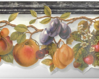 Scalloped Fruit Wallpaper Border MN5040