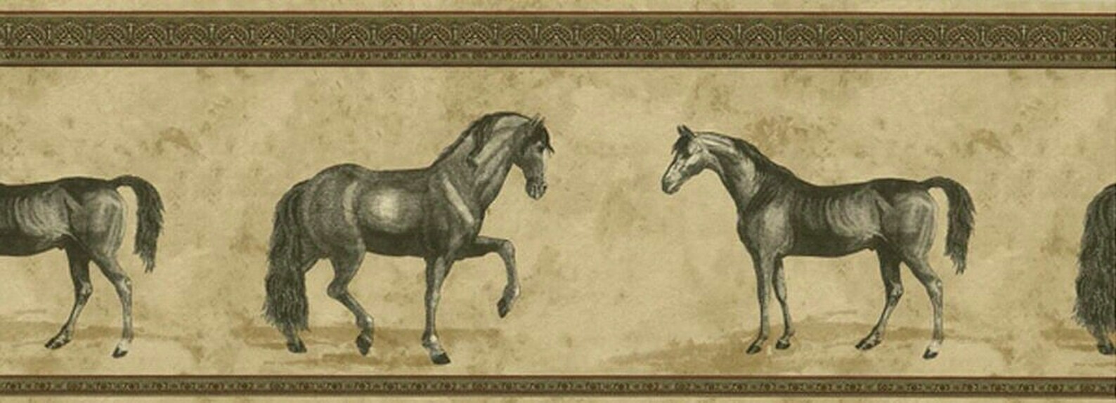 Horses Wallpaper Border A654005b Etsy