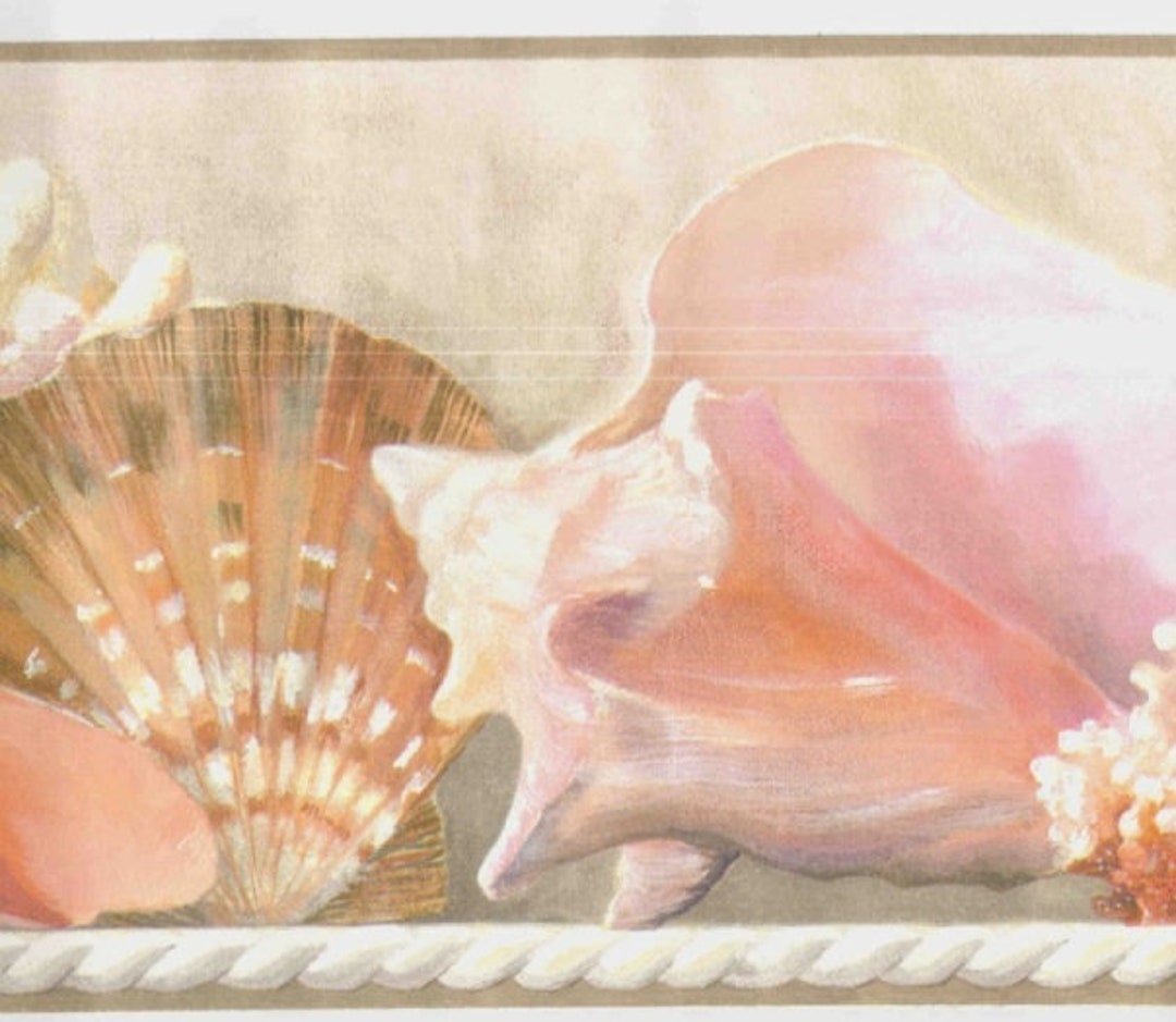 Sea Shells Wallpaper Border Wt1130bcs - Etsy