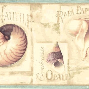 May include: A decorative border featuring illustrations of seashells in shades of cream, brown, and purple. The word "NAUTIL" is above a nautilus shell. Other text includes "Rapa Papyrasée" and "Opalef". The border has a light blue trim.
