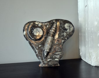 Orthoceras Sculpture Etsy