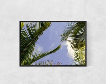 Photography Print High Quality Lustre Paper Palm Trees Print