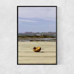 Coconut Shell Beach Photo Print: Lustre Paper