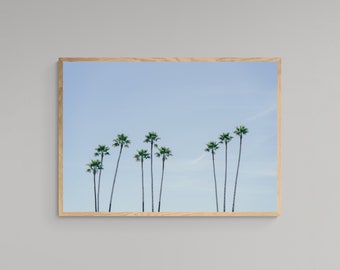 Photography Print High Quality Lustre Paper Palm Trees California Santa Cruz